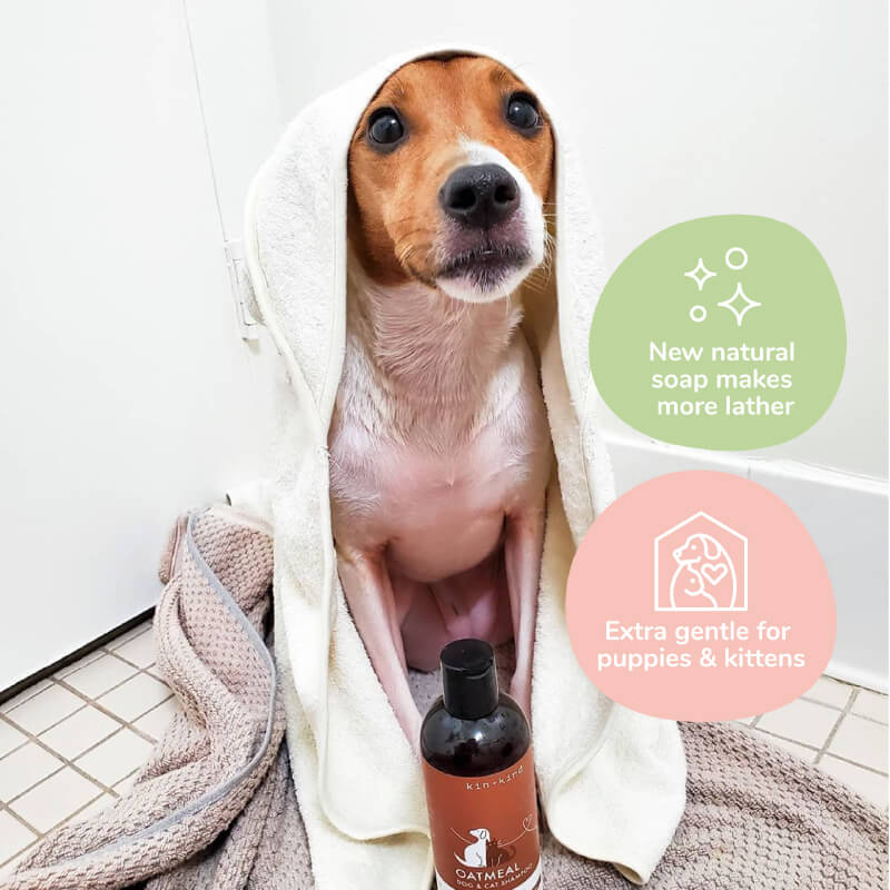 kin+kind Unscented Sensitive Shampoo - Vanillapup Online Pet Store