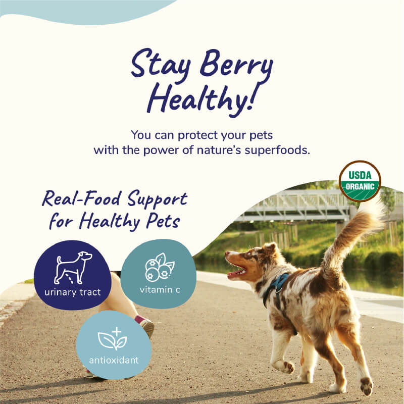 kin+kind Organic Immunity Support Supplement - Vanillapup Online Pet Store