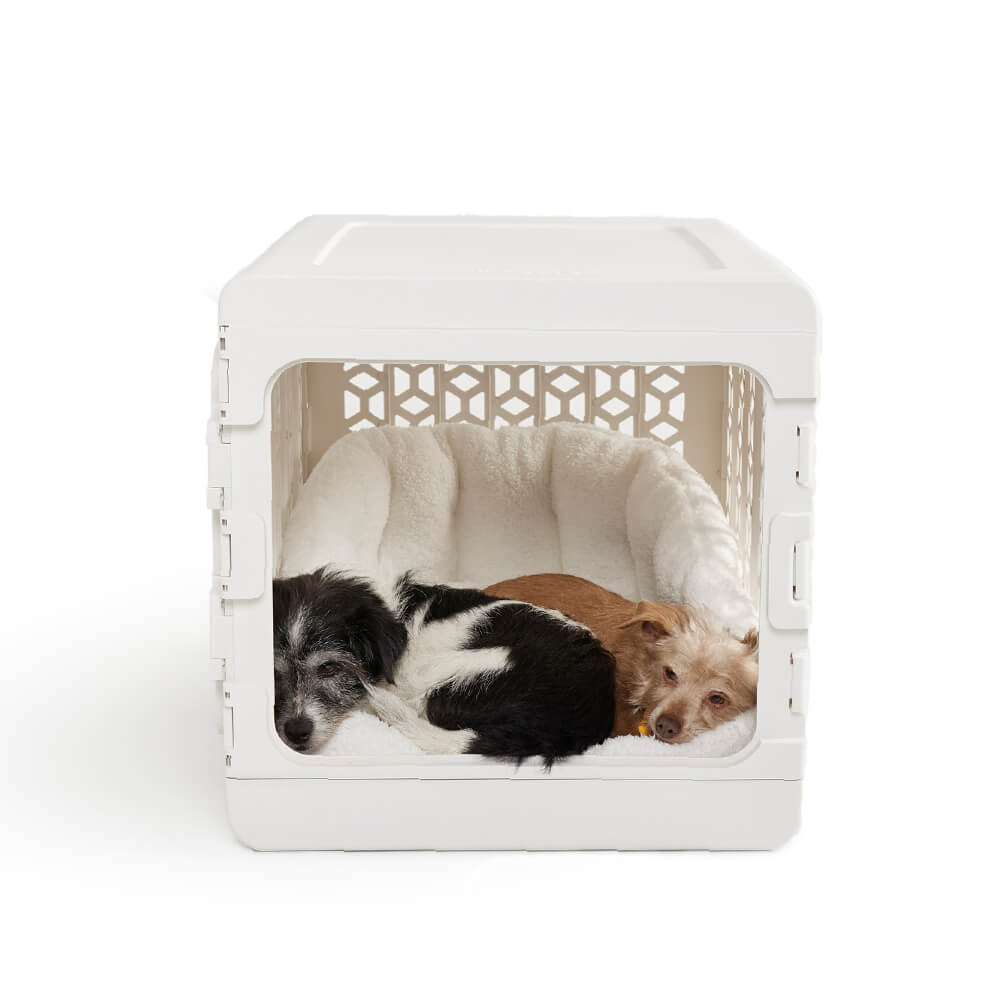 Collapsible plastic outlet dog crate