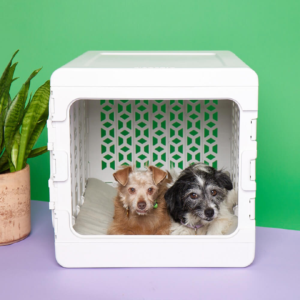 PAWD®, Modern Collapsible Plastic Dog & Pet Crate