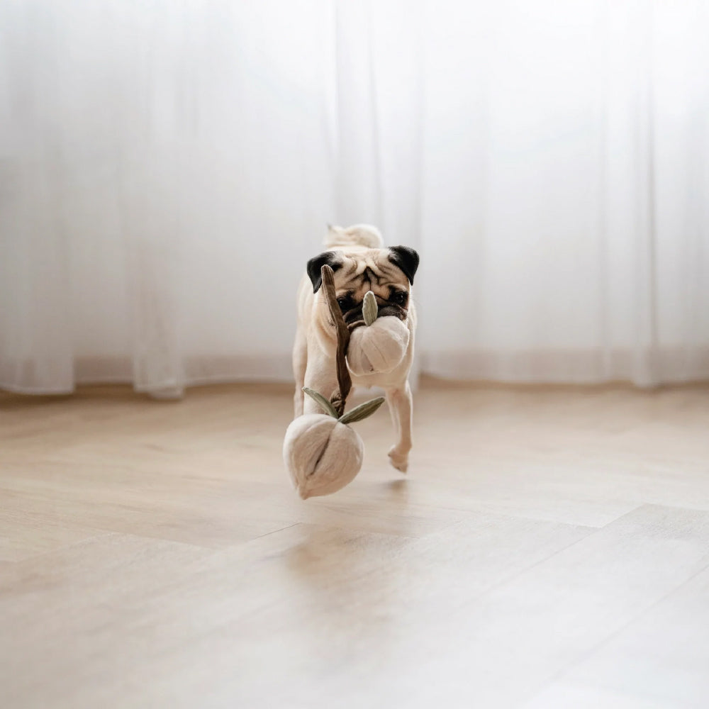 Lambwolf MOMO Snuffle Peaches Toy