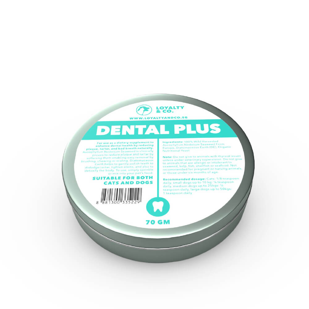 Loyalty & Co. Dental Plus - Vanillapup Online Pet Store