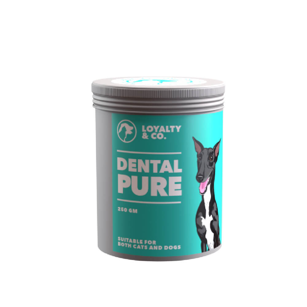 Loyalty & Co. Dental Pure - Vanillapup Online Pet Store