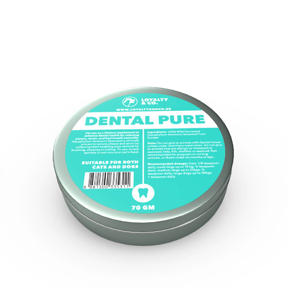 Loyalty & Co. Dental Pure - Vanillapup Online Pet Store