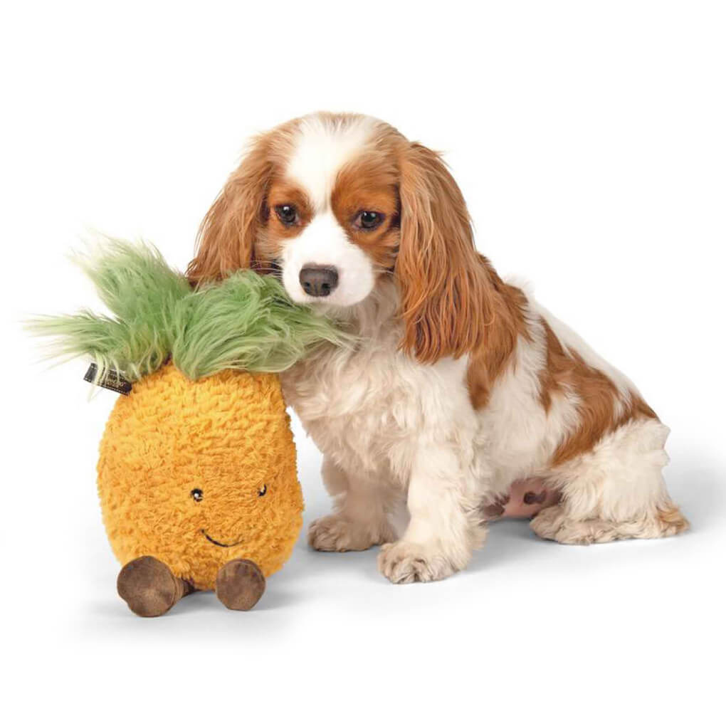 NANDOG Super Soft Plush Toy | Pineapple - Vanillapup Online Pet Store