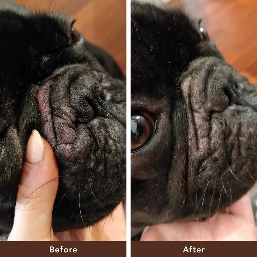 Natural Dog Company Wrinkle Balm®