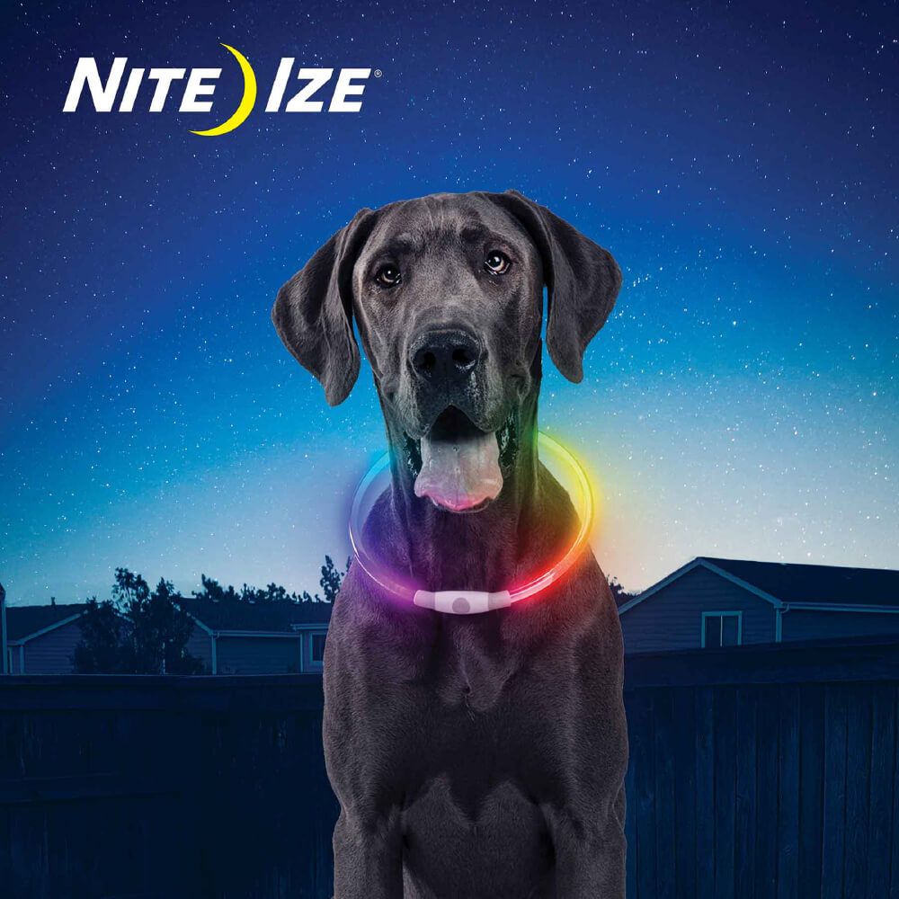 Nite Ize NiteHowl® Rechargeable LED Safety Necklace - Vanillapup Online Pet Store