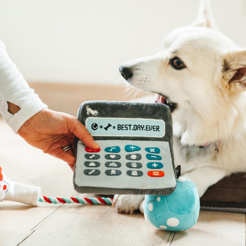 PLAY Back to School Doggie Digits Calculator Plush Toy - Vanillapup Online Pet Store