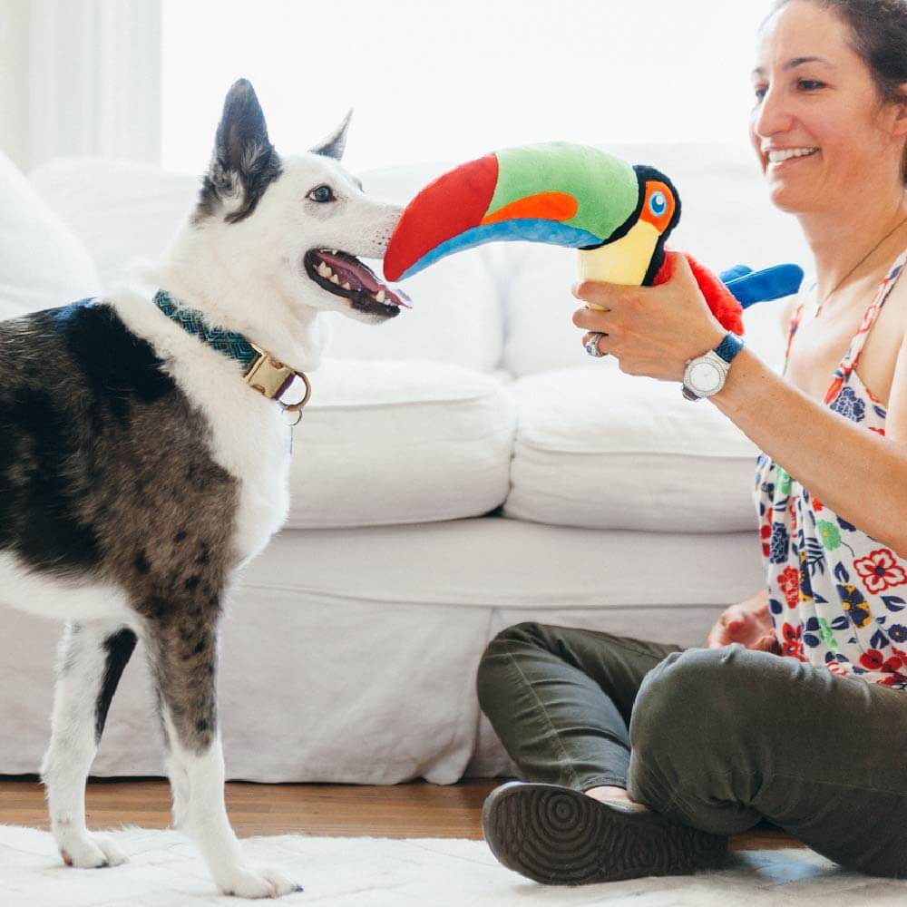 PLAY Fetching Flock Toucan Plush Toy - Vanillapup Online Pet Store