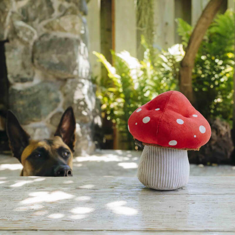 PLAY Blooming Buddies Mushroom Plush Toy - Vanillapup Online Pet Store