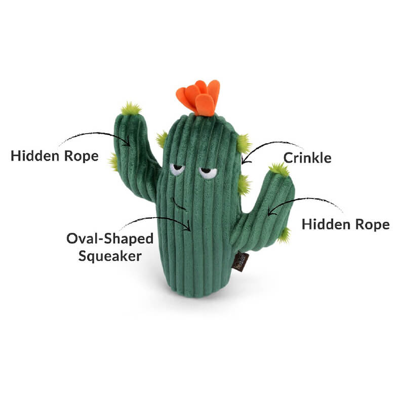 PLAY Blooming Buddies Cactus Plush Toy - Vanillapup Online Pet Store