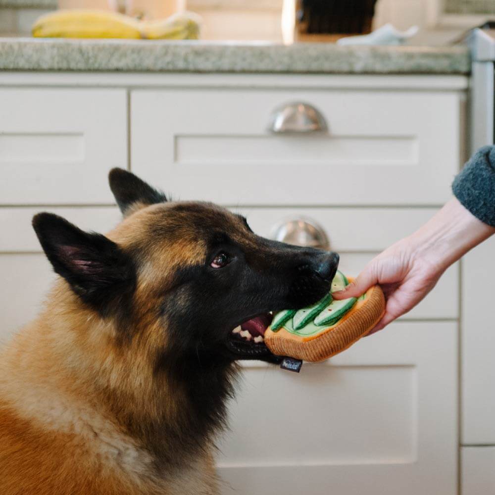 PLAY Barking Brunch Avo-doggo Toast Plush Toy - Vanillapup Online Pet Store
