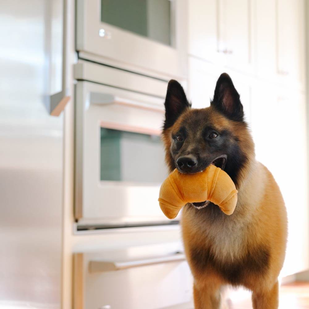 PLAY Barking Brunch Croissant Plush Toy - Vanillapup Online Pet Store