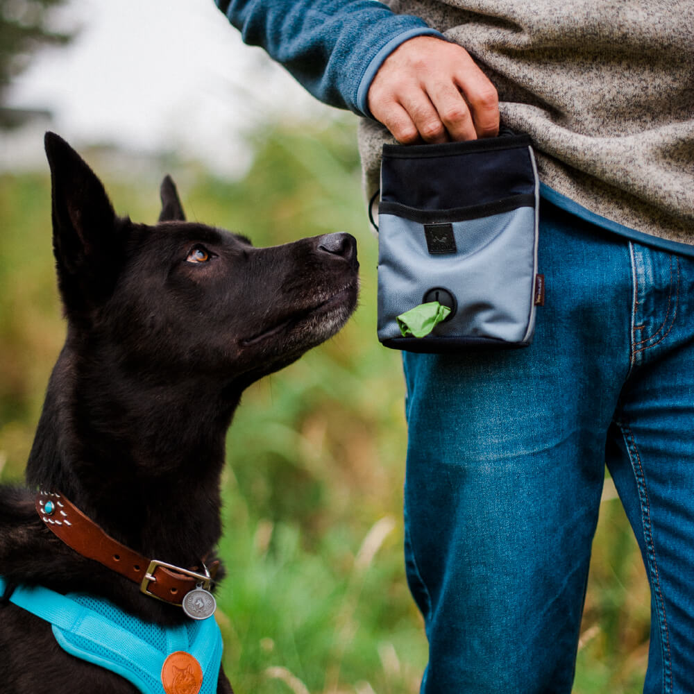 Scout & About Deluxe Training Pouch | Eclipse - Vanillapup Online Pet Store