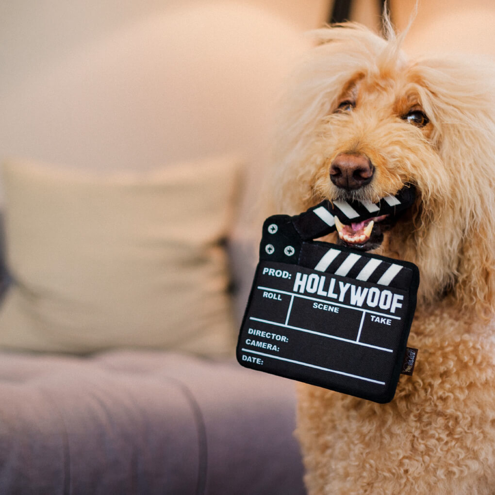 PLAY Hollywoof Cinema Director Board - Vanillapup Online Pet Store