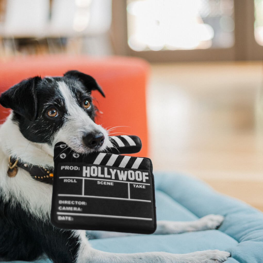PLAY Hollywoof Cinema Director Board - Vanillapup Online Pet Store