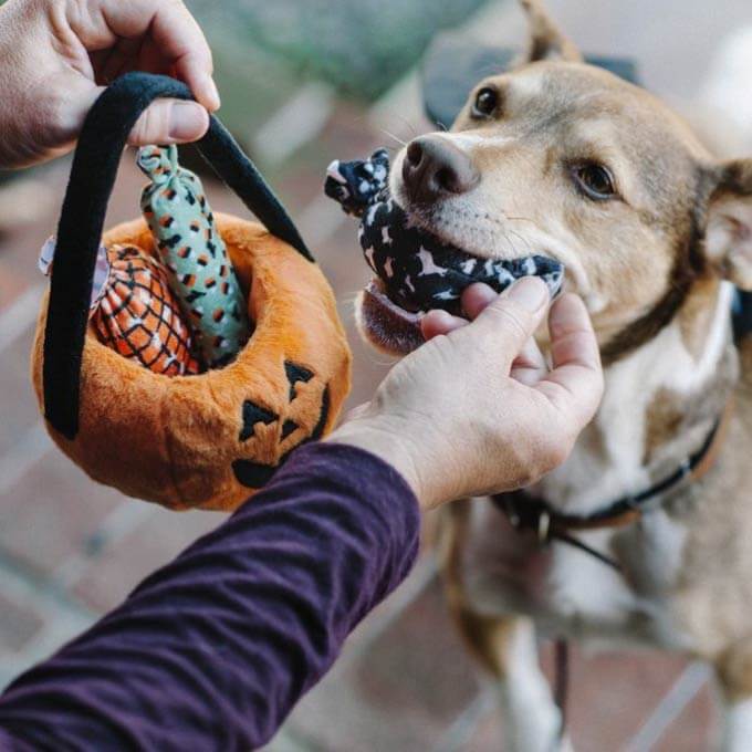 PLAY Howl-o-ween Treat Basket Plush Toy - Vanillapup Online Pet Store