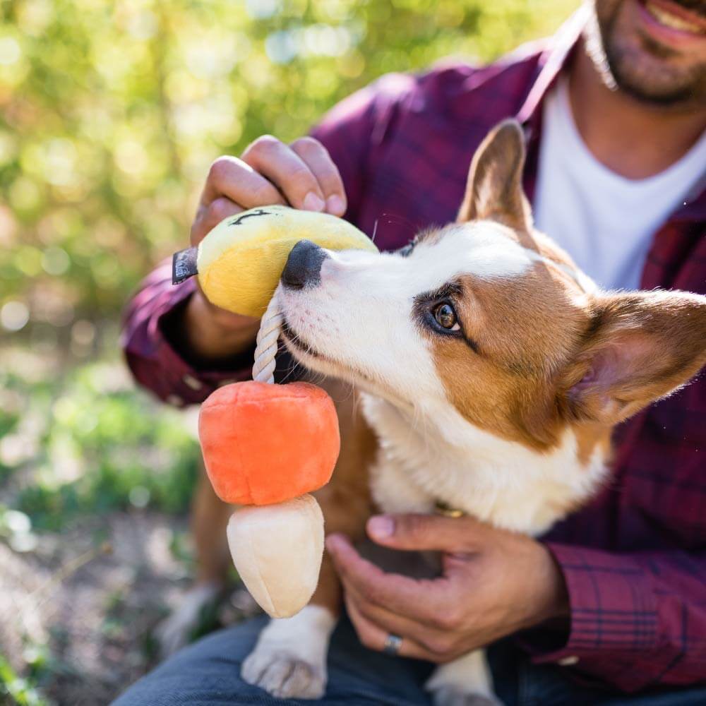 PLAY Howling Haunts Canine Corn Plush Toy - Vanillapup Online Pet Store