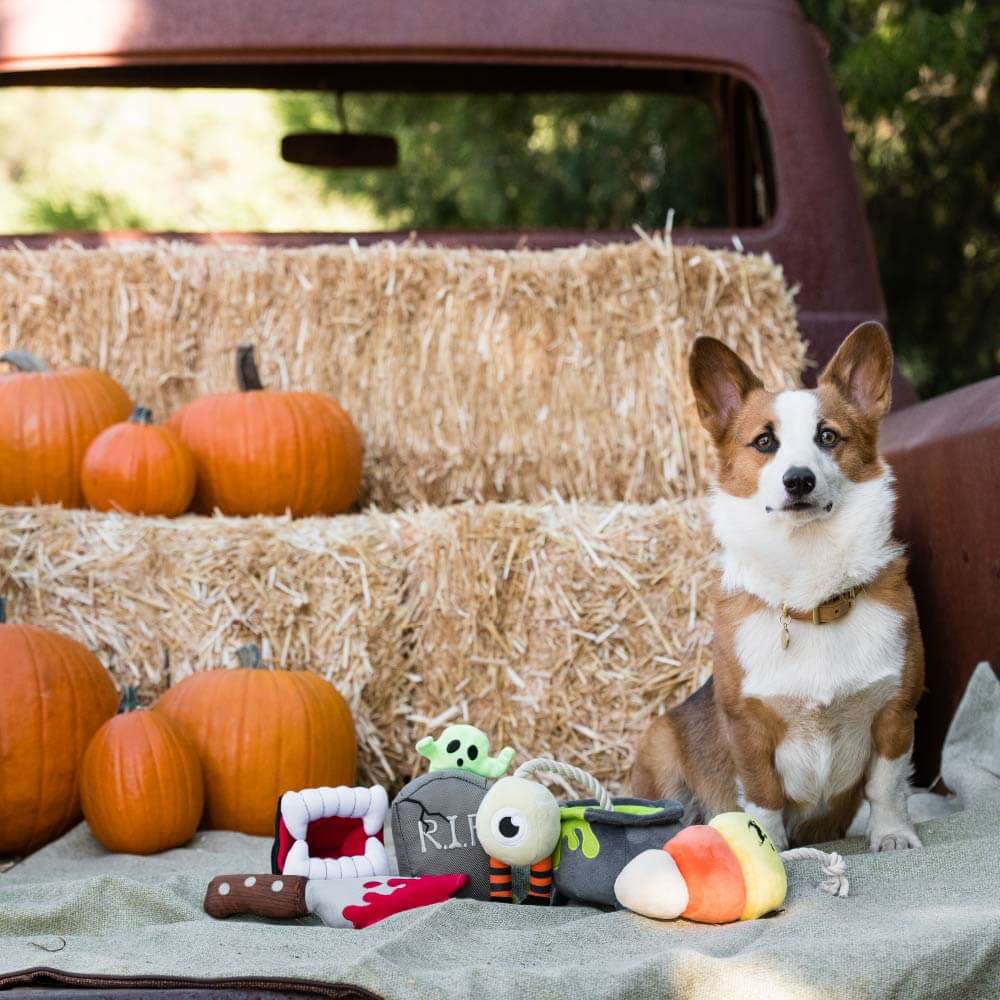 PLAY Howling Haunts Canine Corn Plush Toy - Vanillapup Online Pet Store