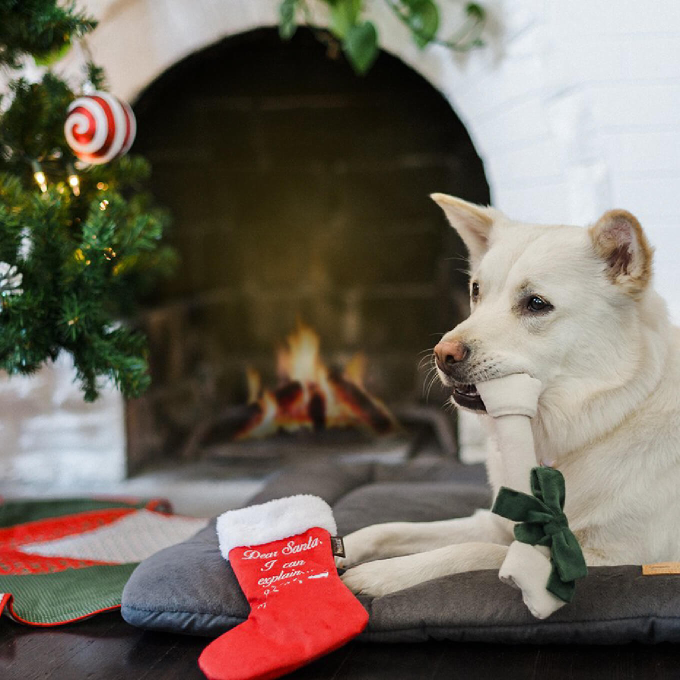 PLAY Merry Woofmas Stocking Toy - Vanillapup Online Pet Store