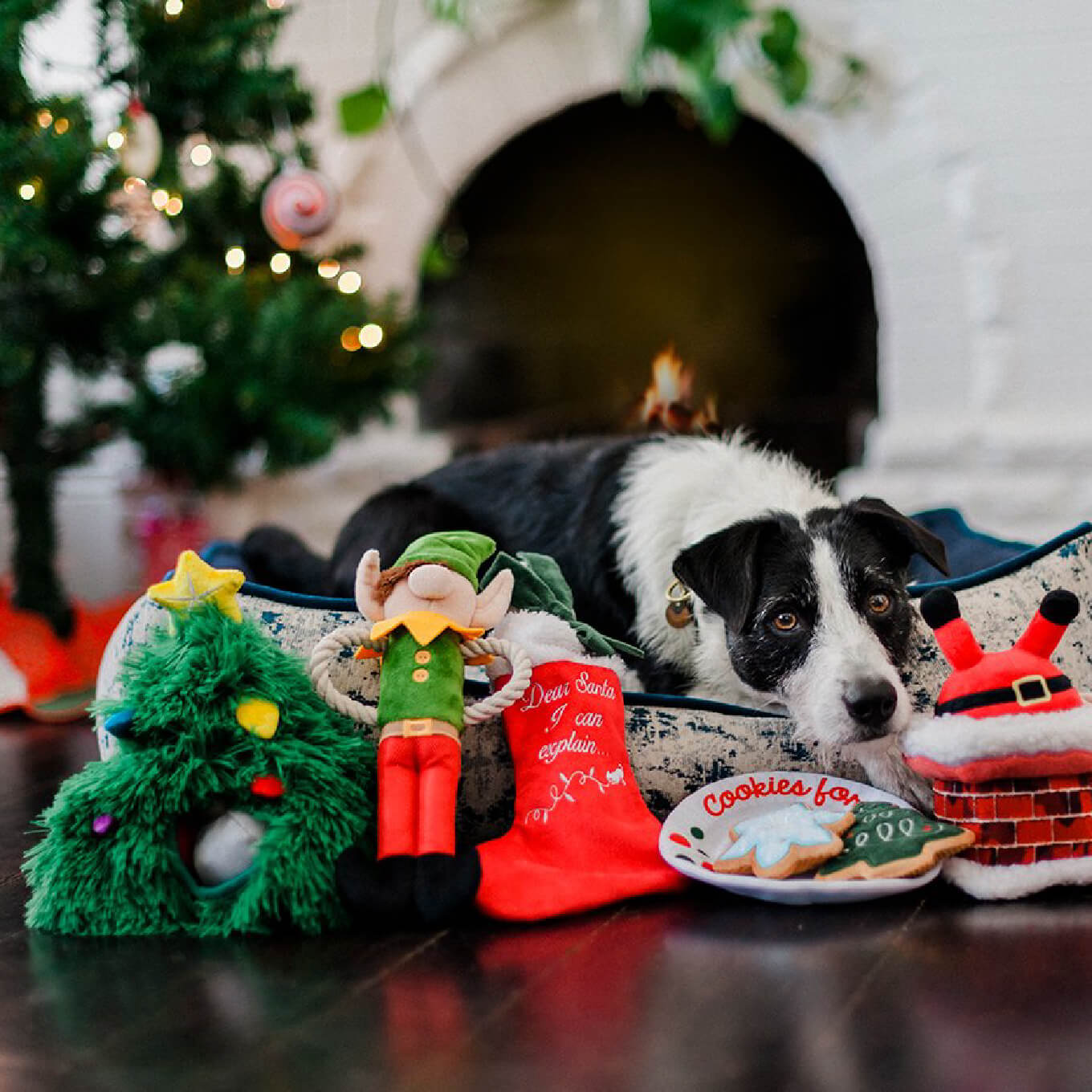 PLAY Merry Woofmas Christmas Tree Burrow Toy - Vanillapup Online Pet Store