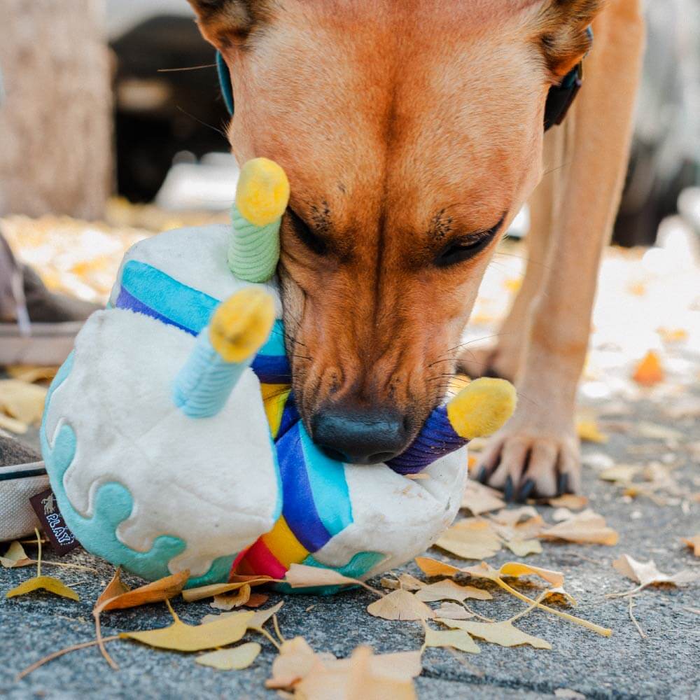 PLAY Party Time Bone-appetite Cake Plush Toy - Vanillapup Online Pet Store