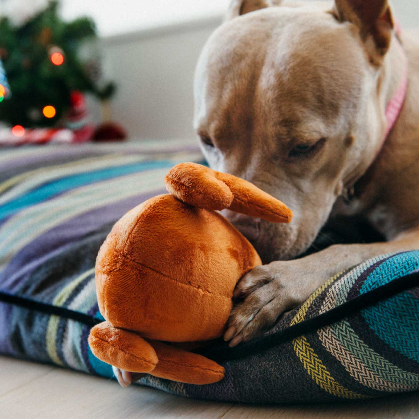 PLAY Holiday Classic Roasted Turkey Plush Toy - Vanillapup Online Pet Store