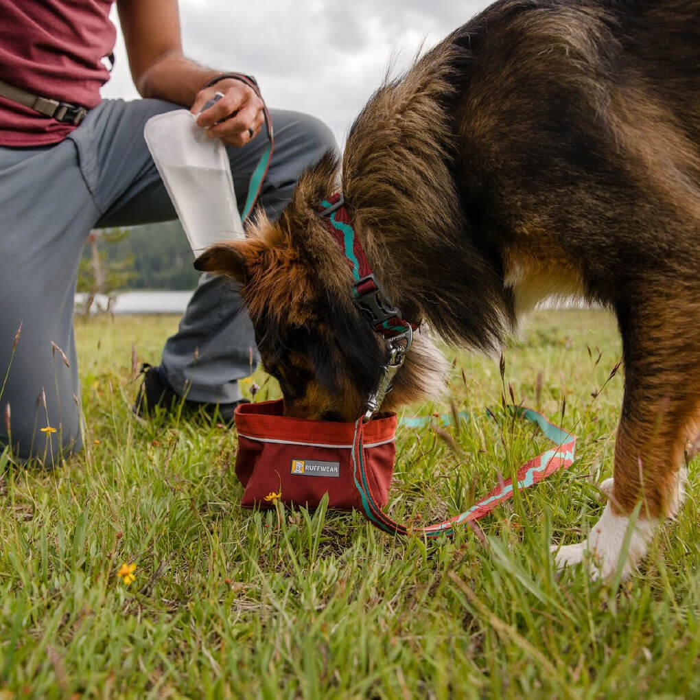 Ruffwear Quencher™ Collapsible Food & Water Bowl - Vanillapup Online Pet Store