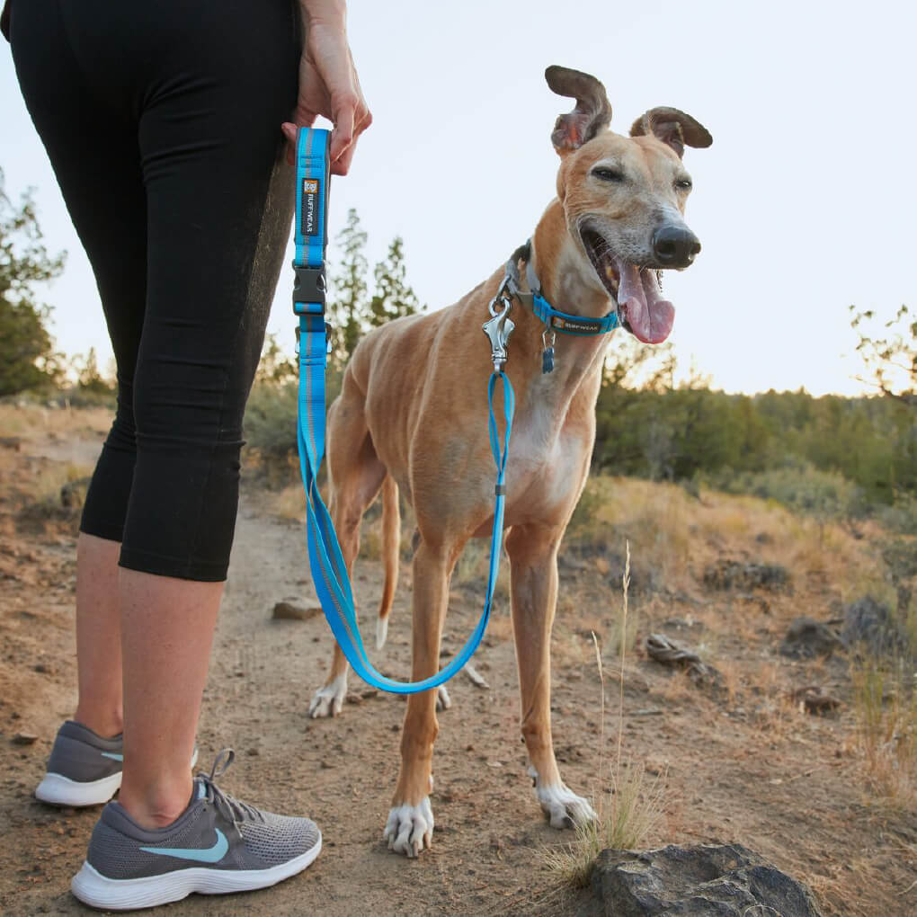 Ruffwear Crag Reflective Multi Function Dog Leash