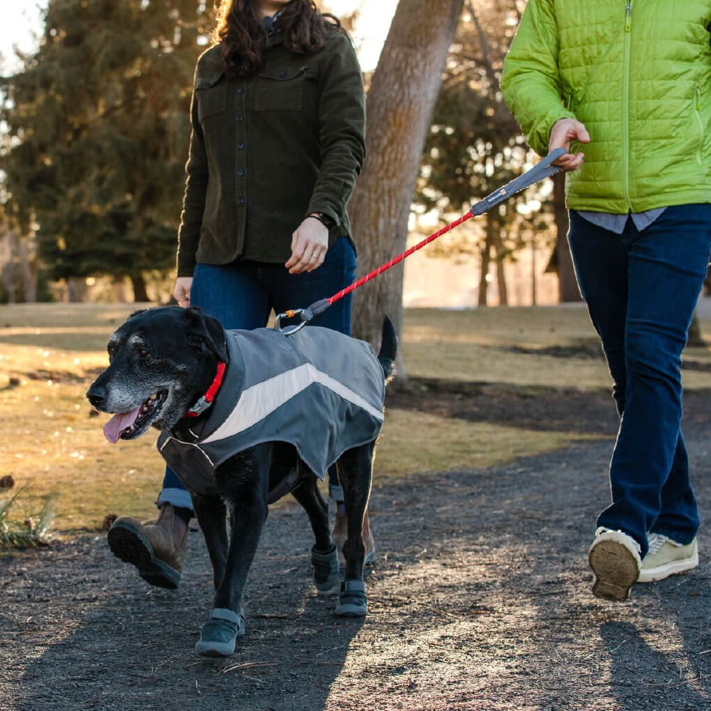 Ruffwear Lumenglow™ Reflective Hi-Vis Dog Safety Jacket - Vanillapup Online Pet Store