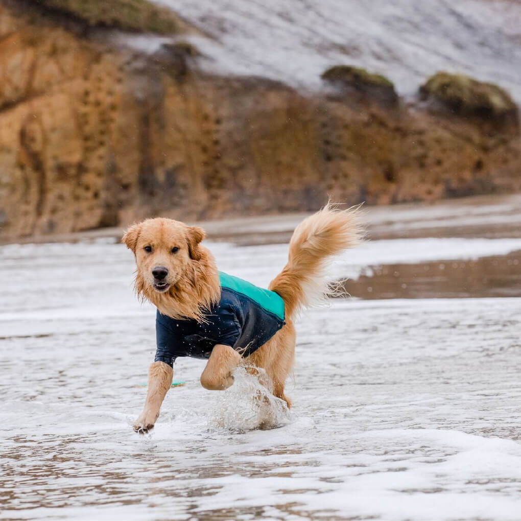 Ruffwear Undercoat Reflective Wetsuit Dog Water Jacket