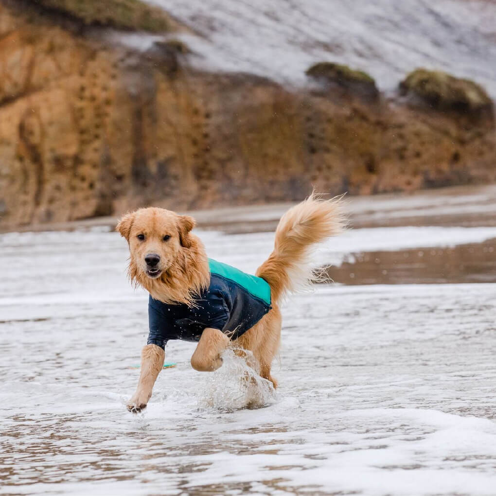 Ruffwear Undercoat™ Reflective Wetsuit Dog Water Jacket - Vanillapup Online Pet Store