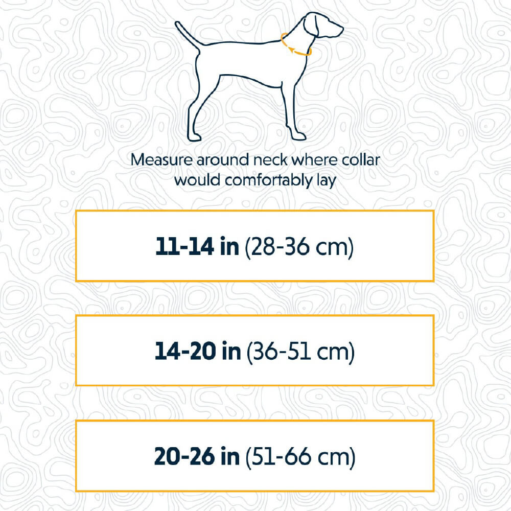 Ruffwear Flat Out™ Patterned Dog Collar - Vanillapup Online Pet Store