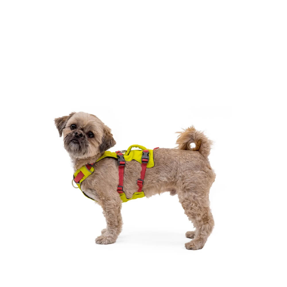 Ruffwear Flagline™ Lightweight No-Pull Handled Dog Harness - Vanillapup Online Pet Store