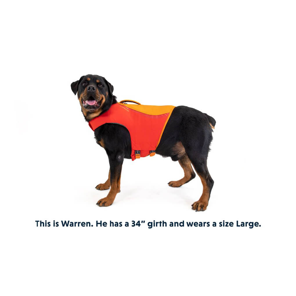 Dog life jacket hot sale in store