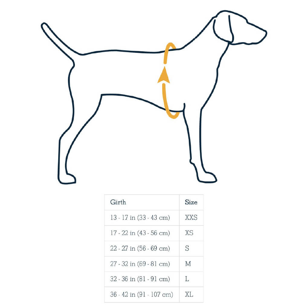 Ruffwear life jacket store sizing