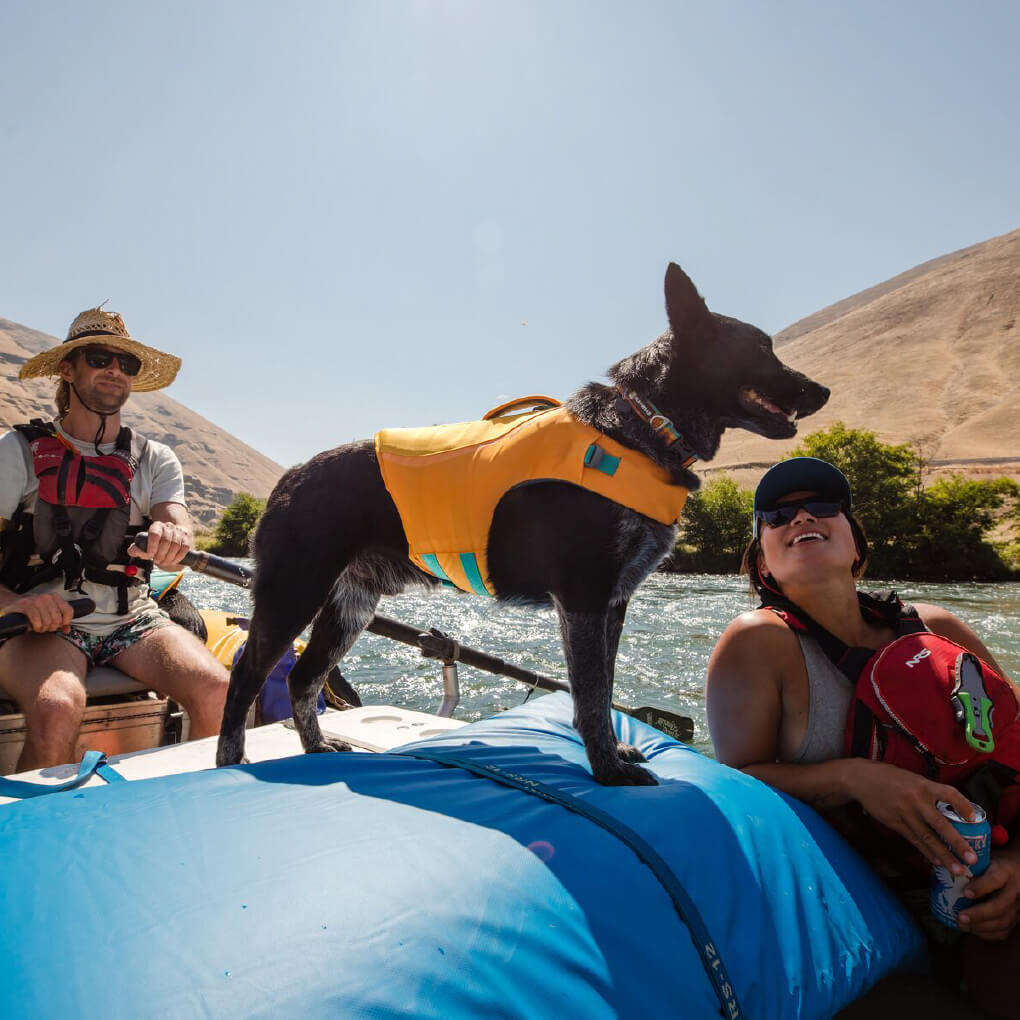 Ruffwear dog clearance life vest