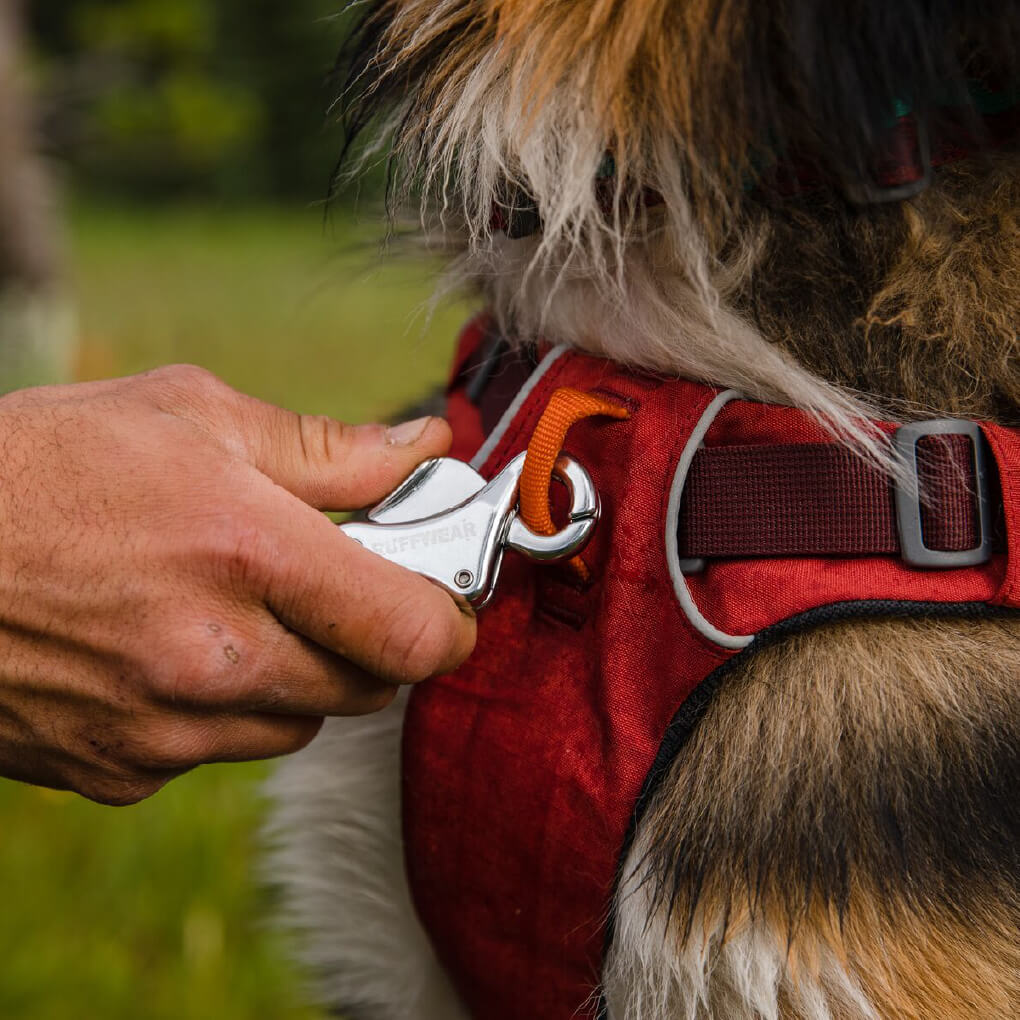 Ruffwear Front Range™ Day Pack Dog Harness - Vanillapup Online Pet Store