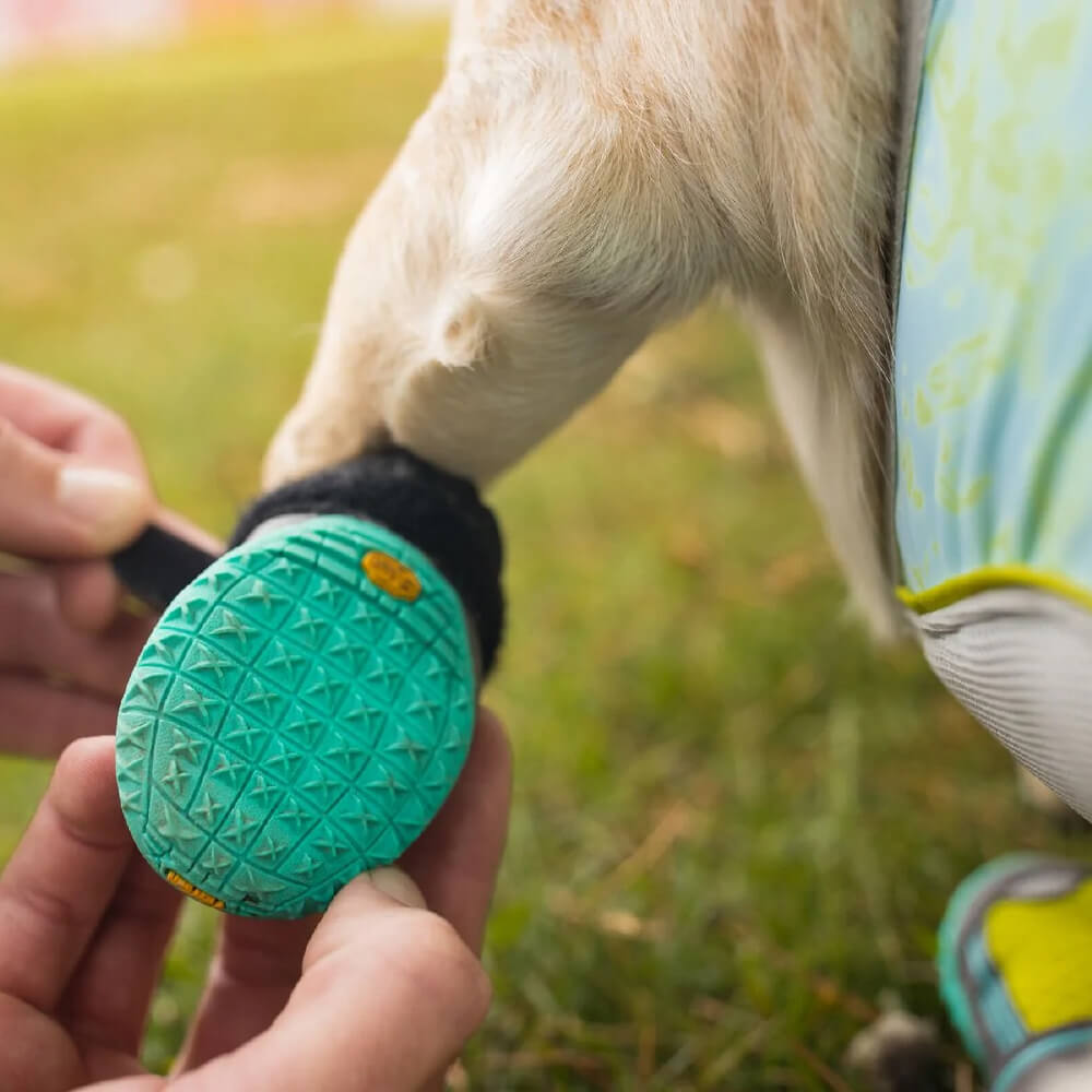 Dog boots sale in store