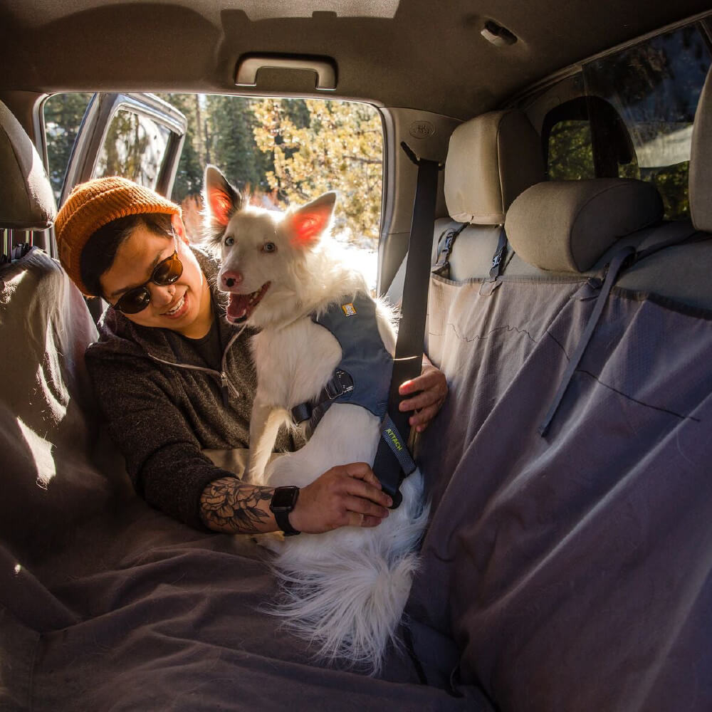 Ruffwear Load Up™ Car Safety Dog Harness - Vanillapup Online Pet Store