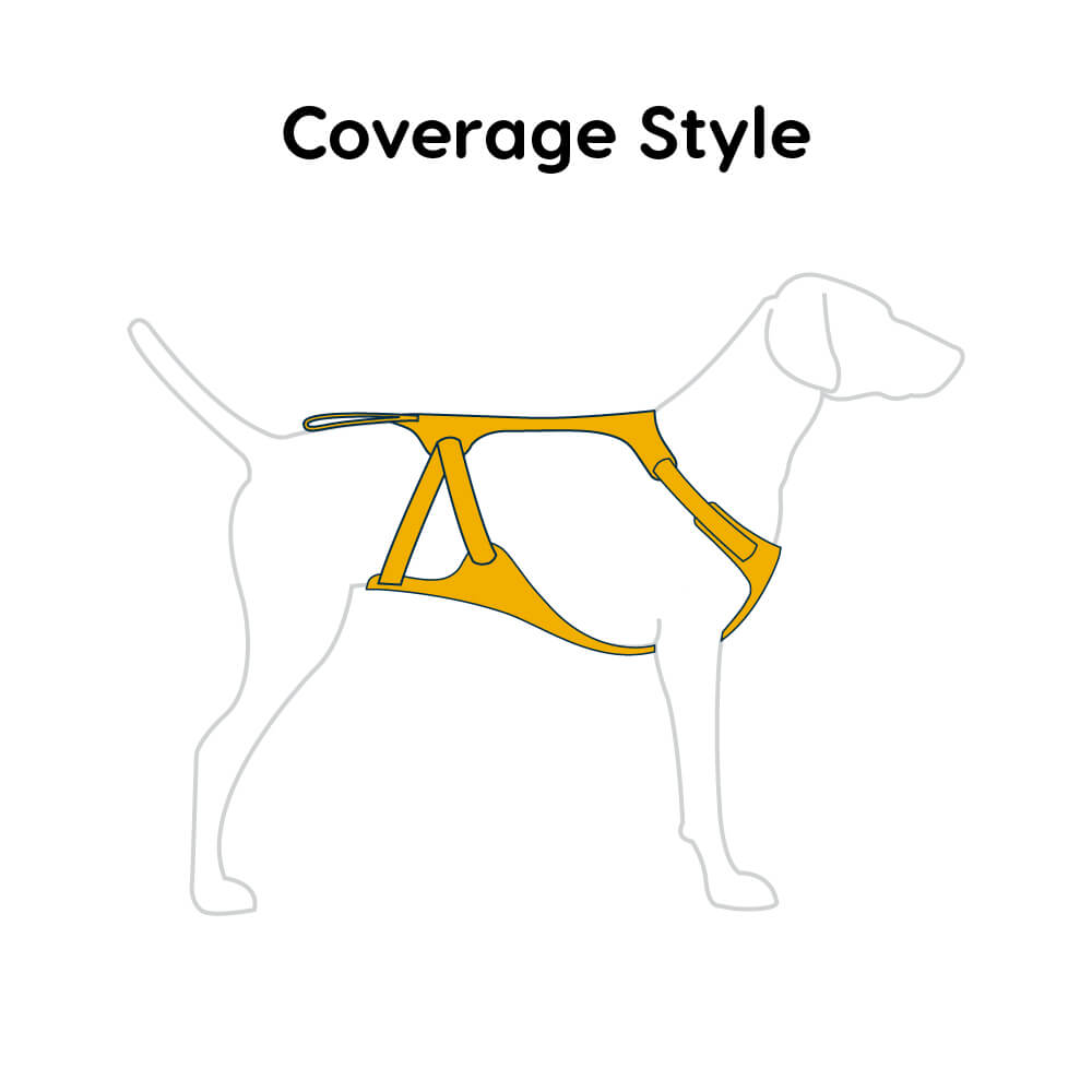 Ruffwear Load Up Car Safety Dog Harness