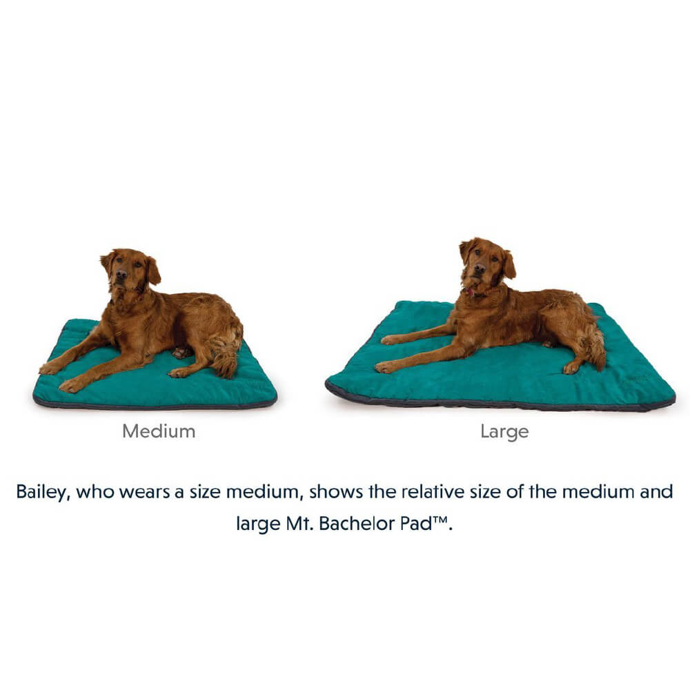 Ruffwear Mt. Bachelor Pad™ Portable Dog Bed - Vanillapup Online Pet Store