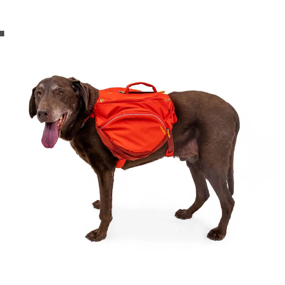Ruffwear Palisades™ Multi-Day Hydration Pack Dog Harness - Vanillapup Online Pet Store