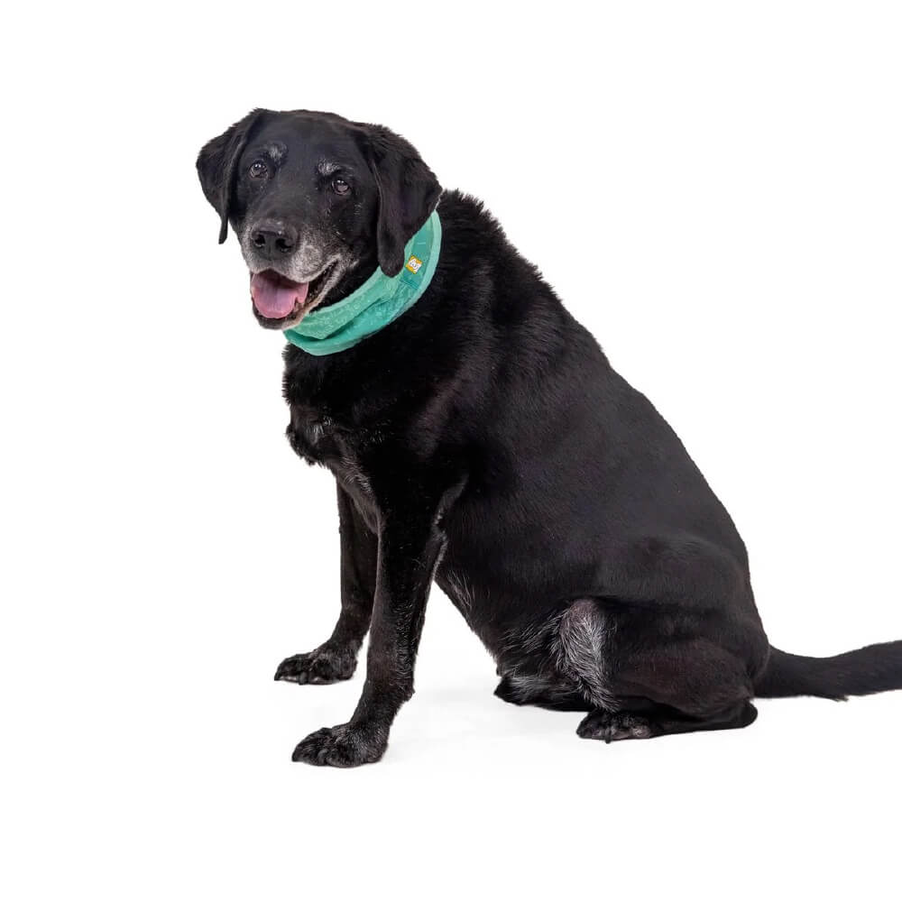 Ruffwear Swamp Cooler™ Cooling Dog Neck Gaiter - Vanillapup Online Pet Store