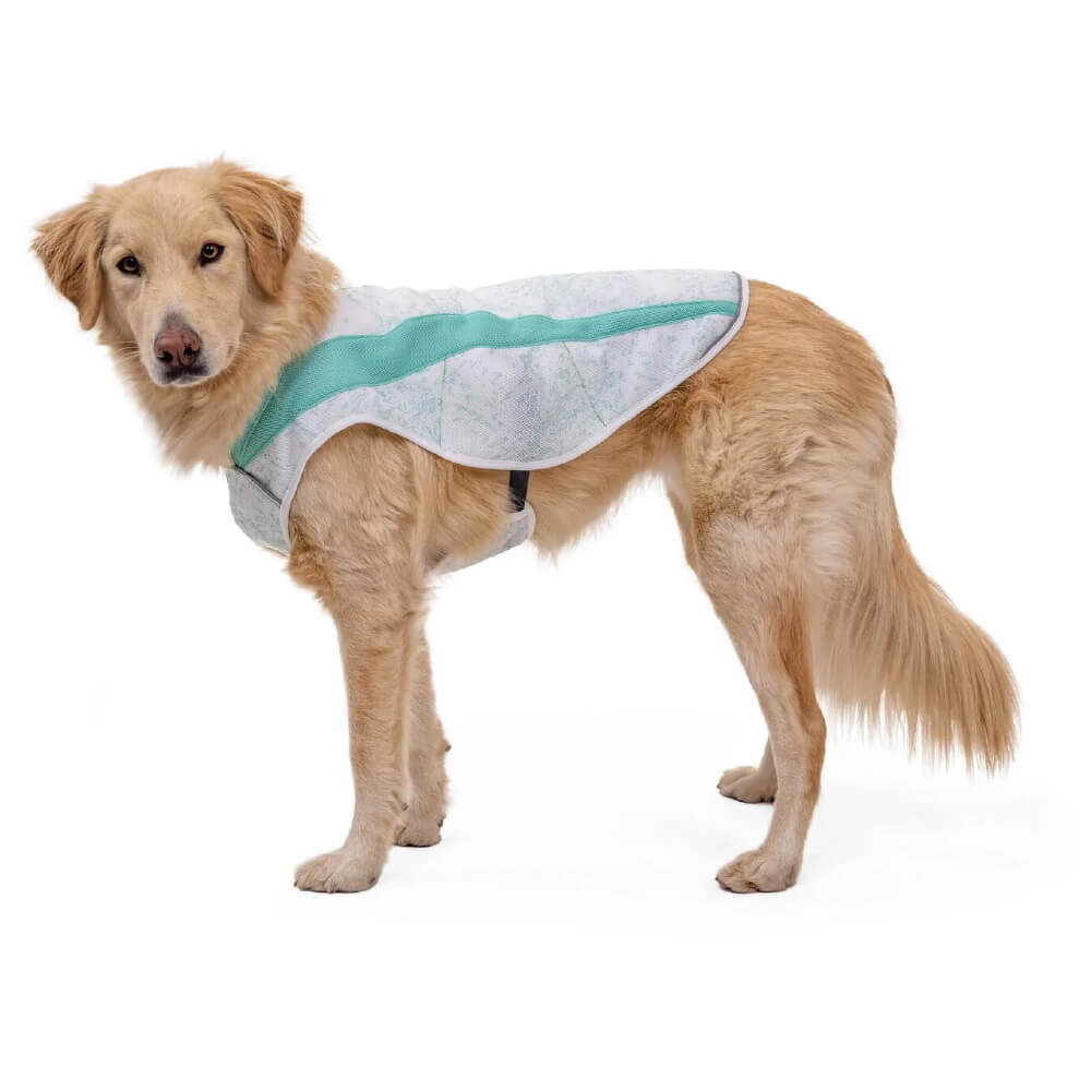 Ruffwear Swamp Cooler™ Reflective Dog Cooling Vest - Vanillapup Online Pet Store