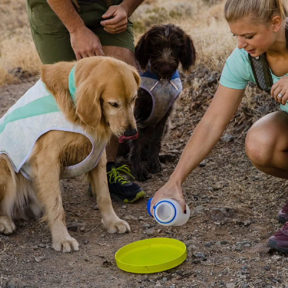 Ruffwear Swamp Cooler Reflective Dog Cooling Vest