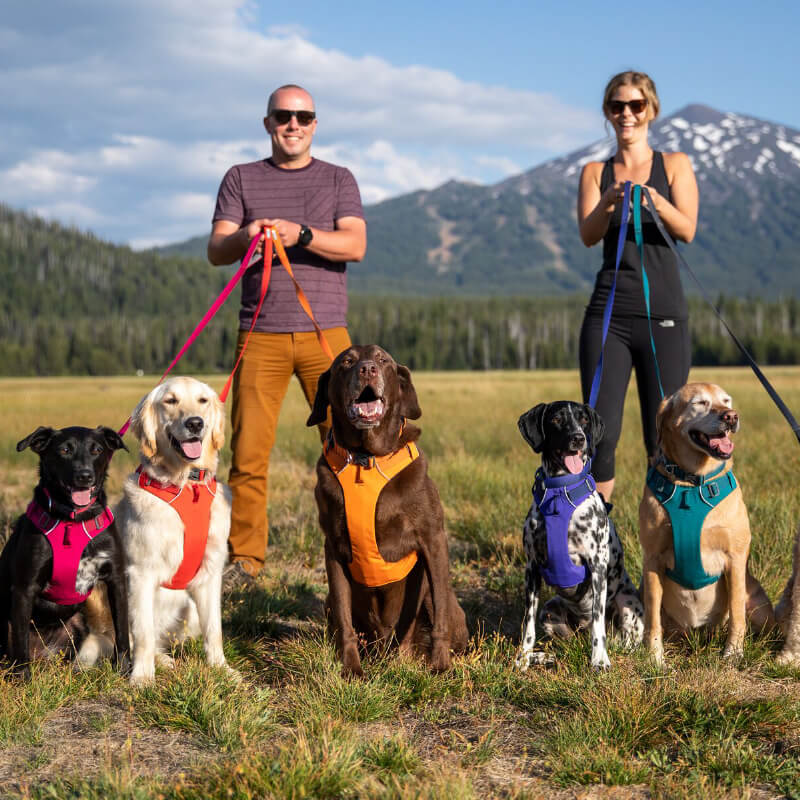 Ruffwear Front Range® No-Pull Everyday Dog Harness - Vanillapup Online Pet Store