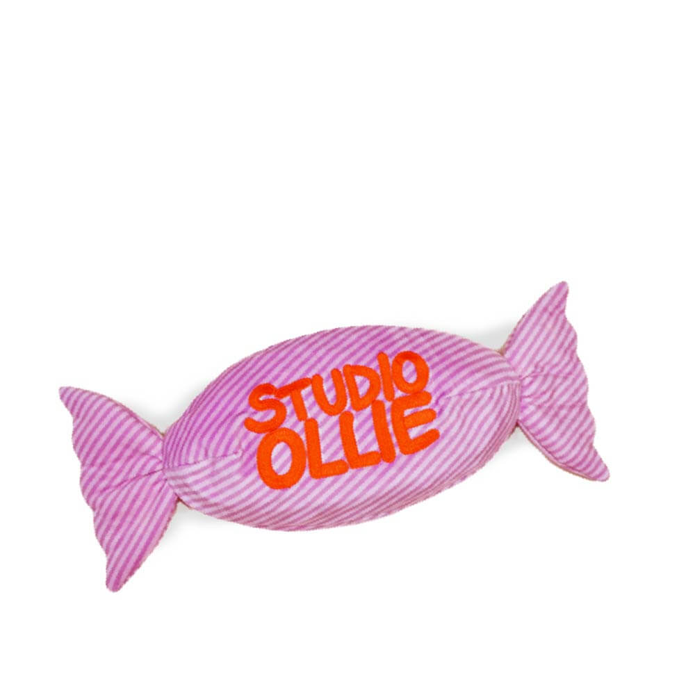 Studio Ollie Giant Candy Nose Work Toy - Vanillapup Online Pet Store