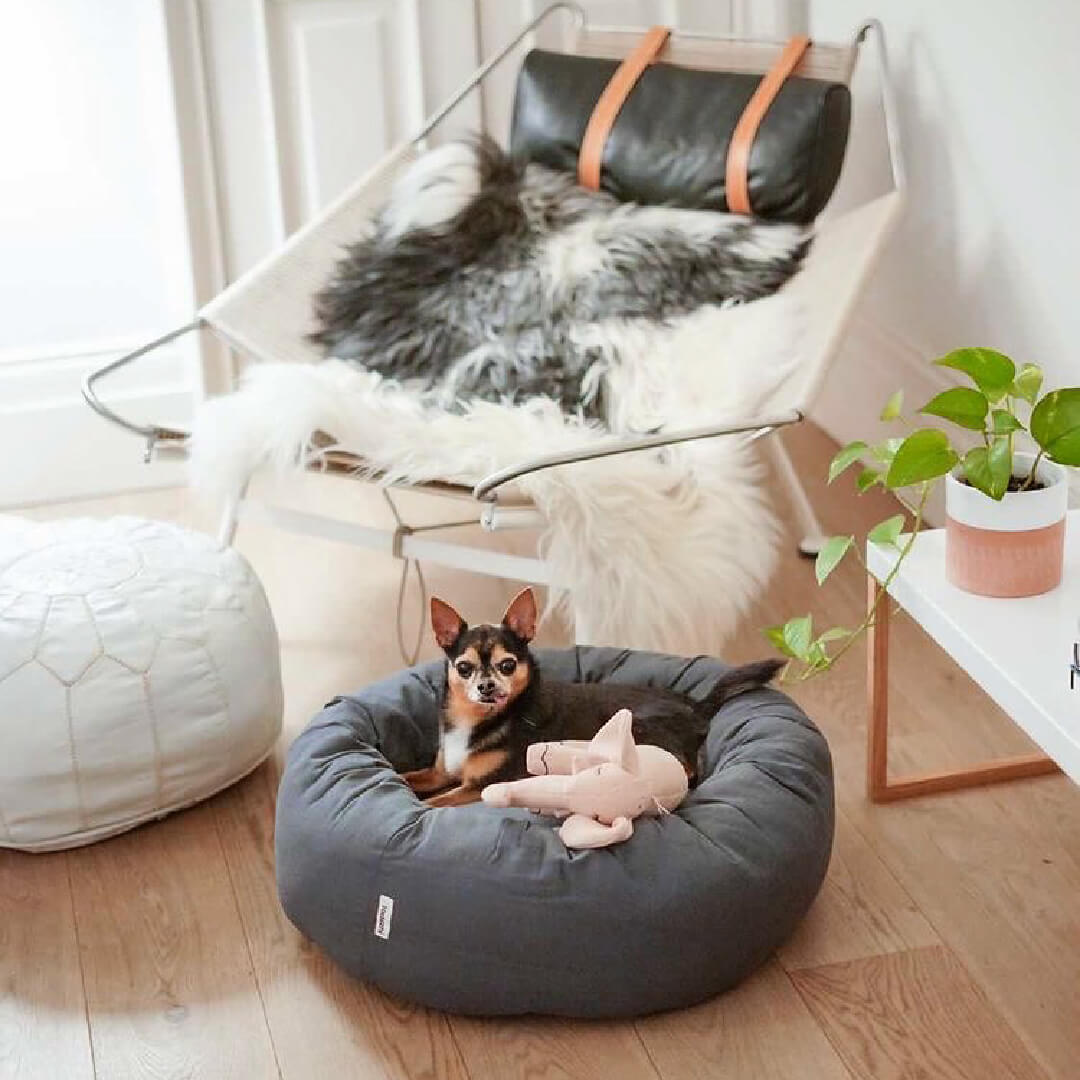 tadazhi Donut Bed | Warm Grey - Vanillapup Online Pet Store