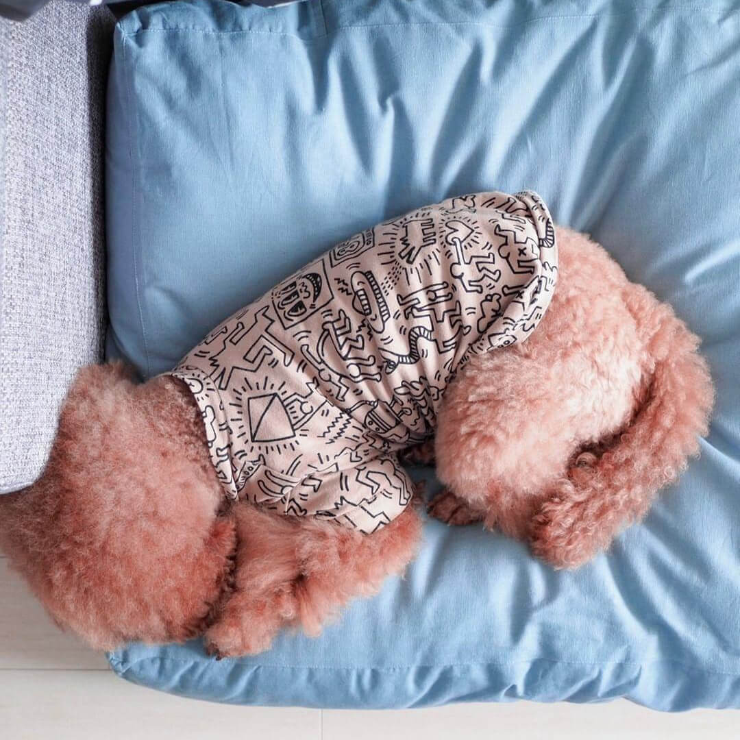 tadazhi Soft Pillow Bed | Faded Blue - Vanillapup Online Pet Store